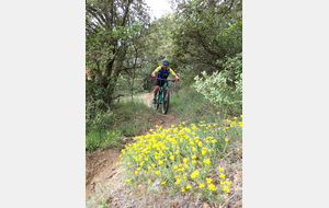 Sortie VTT sur Luberon Est : 08-05-2025 