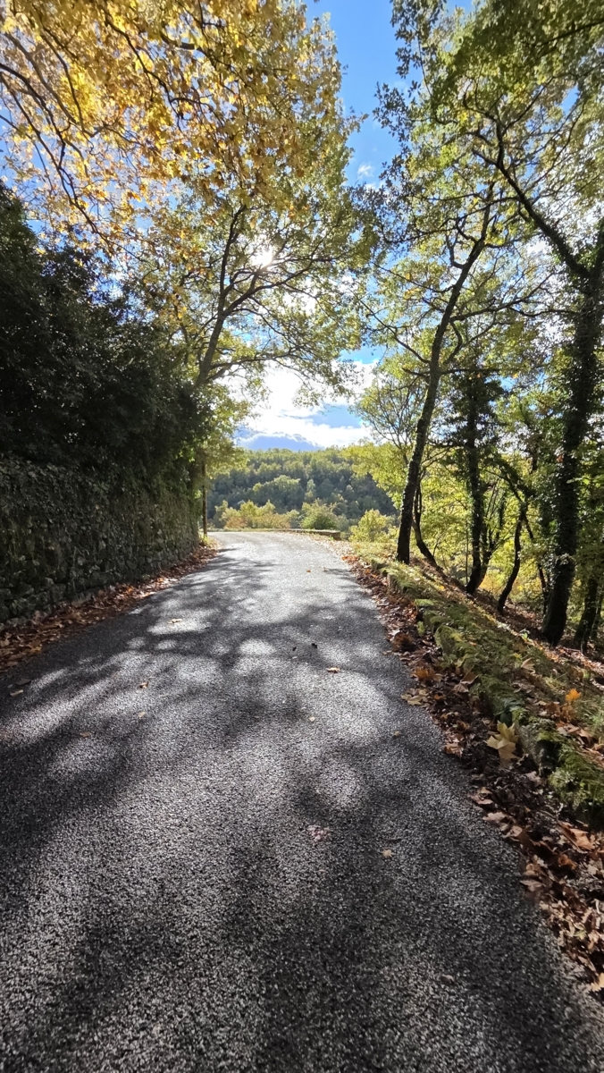 22/10/2025 : Couleurs d'automne sur la route de Sivergues