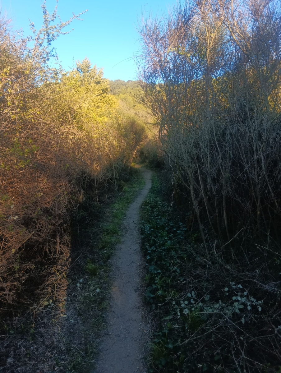 31/03/2026 : Nettoyage sentiers rando Villelaure