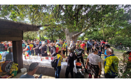 Rando VTT Villelaure 2026